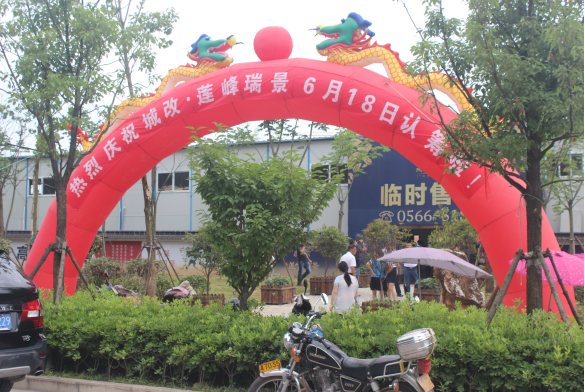S36沙龙会 - 要玩就玩沙龙会