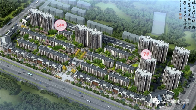 S36沙龙会 - 要玩就玩沙龙会