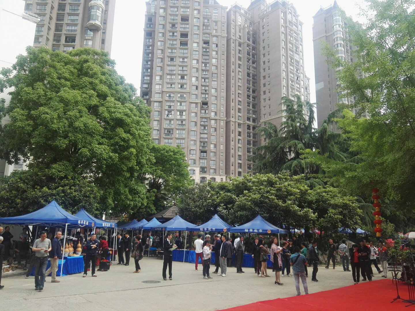 S36沙龙会 - 要玩就玩沙龙会