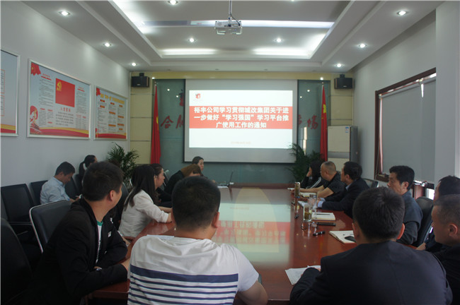 S36沙龙会 - 要玩就玩沙龙会