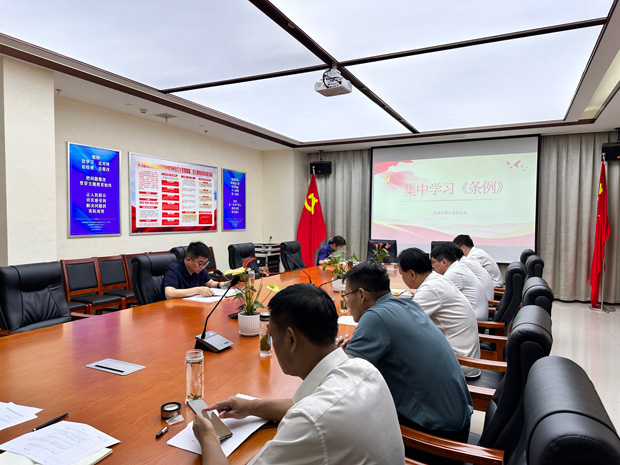 S36沙龙会 - 要玩就玩沙龙会