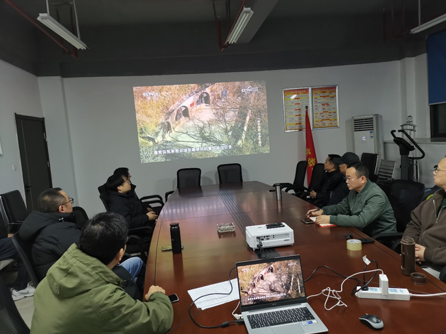 S36沙龙会 - 要玩就玩沙龙会
